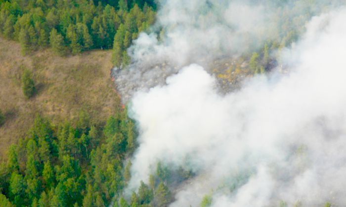 Другие города. Краснодар. Новости