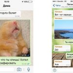 Другие города. Краснодар. Новости