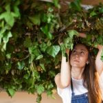 Другие города. Краснодар. Узнать. Решения.