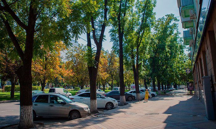 Другие города. Краснодар. Новости