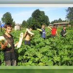 Другие города. Краснодар. Спецпроект