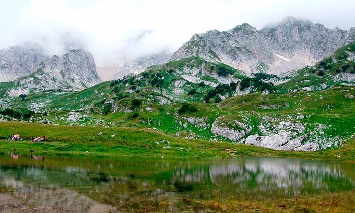 Другие города. Краснодар. Новости