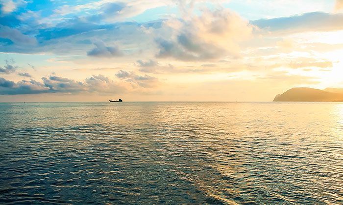 Другие города. Краснодар. Новости