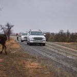 Другие города. Краснодар. Спецпроект