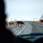 Другие города. Краснодар. Спецпроект