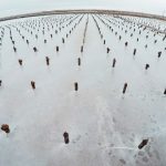 Другие города. Краснодар. Спецпроект