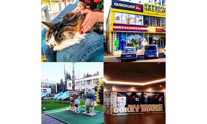 Другие города. Краснодар. Новости