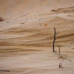 Другие города. Краснодар. Спецпроект