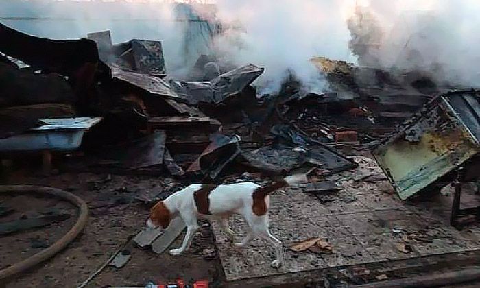 Другие города. Краснодар. Новости