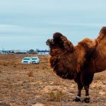 Другие города. Краснодар. Спецпроект