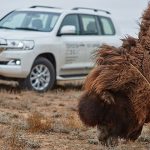 Другие города. Краснодар. Спецпроект