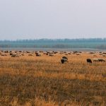 Другие города. Краснодар. Спецпроект