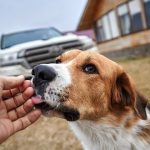 Другие города. Краснодар. Спецпроект