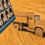 Другие города. Краснодар. Узнать. Город.