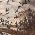 Другие города. Краснодар. Узнать. Город.