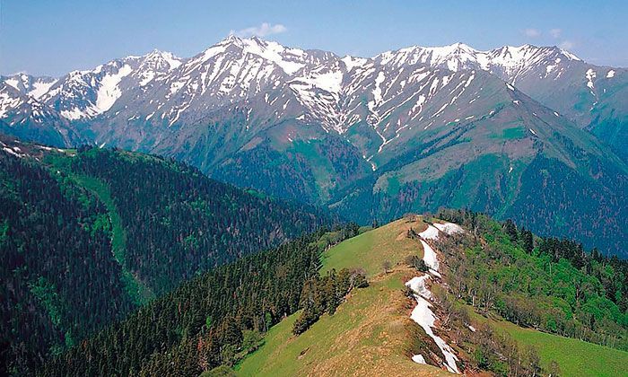 Другие города. Краснодар. Новости