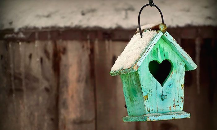 Другие города. Краснодар. Новости