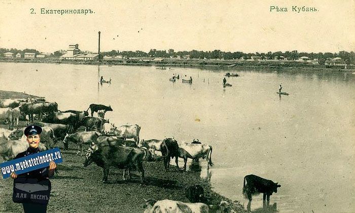 Другие города. Краснодар. Спецпроект