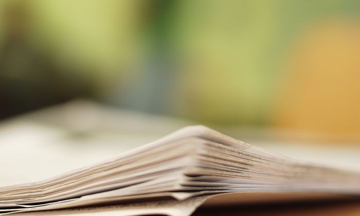 Другие города. Краснодар. Новости