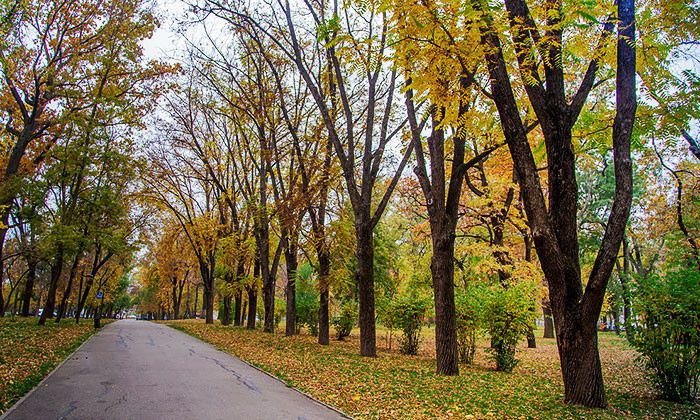 Другие города. Краснодар. Новости