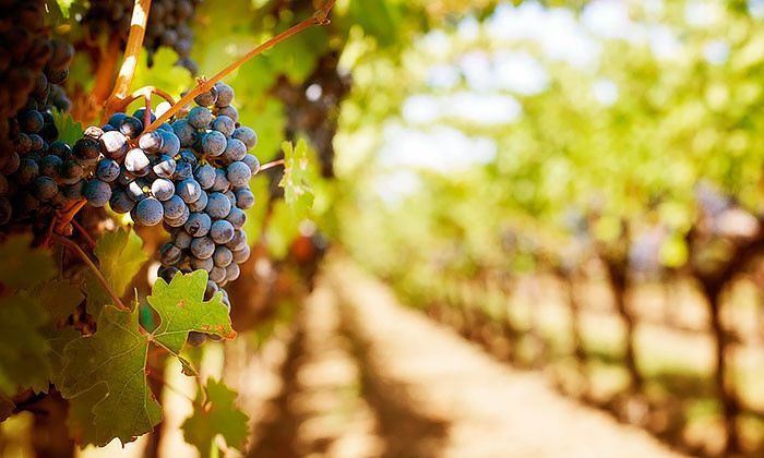 Другие города. Краснодар. Мнение эксперта.