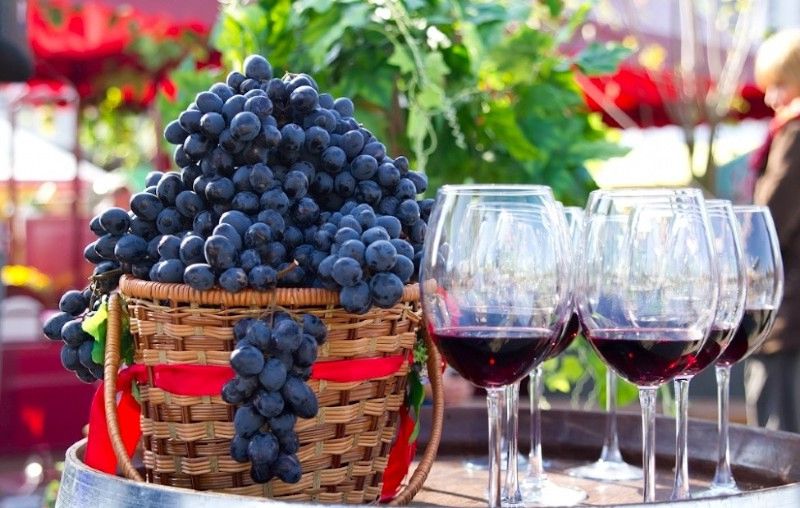 Долой стереотипы: дорогу Красностопу