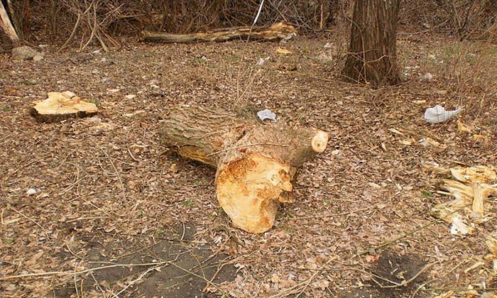 Другие города. Краснодар. Новости