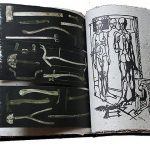 Другие города. Краснодар. Новости