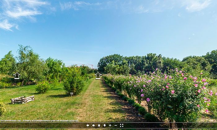 Другие города. Краснодар. Узнать. Город