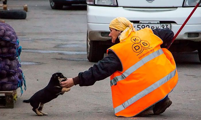 Другие города. Краснодар. Новости
