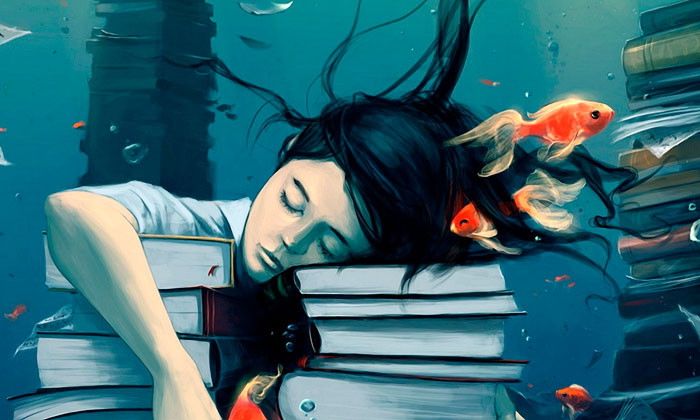 Другие города. Краснодар. Новости