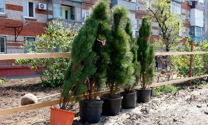 Другие города. Краснодар. Новости