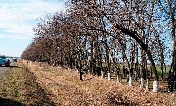 Другие города. Краснодар. Новости