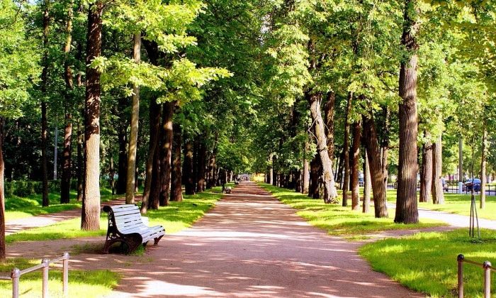 Другие города. Краснодар. Новости