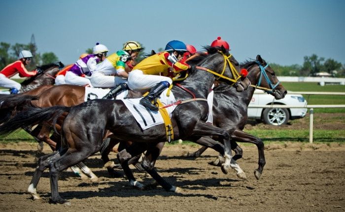 Другие города. Краснодар. Новости
