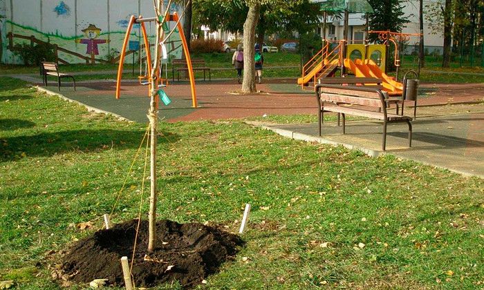 Другие города. Краснодар. Новости