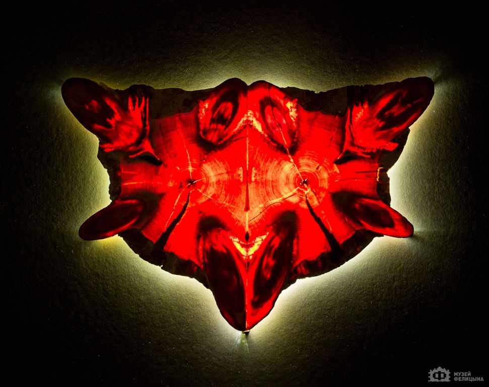 Другие города. Краснодар