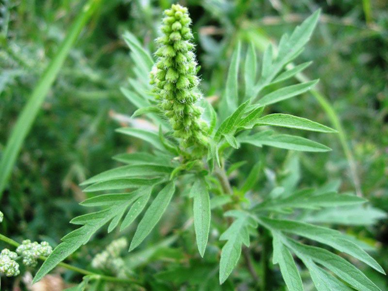 Другие города. Краснодар