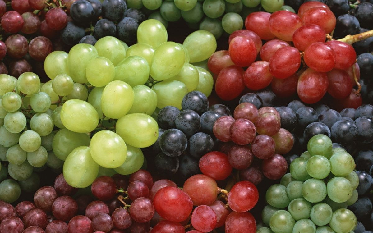 виноград